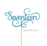 Seventeen - 17th Birthday