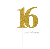 Sixteen - 16th Birthday - 16 Digit