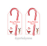 Christmas Candy Cane Holder - Class Gift - Personalised