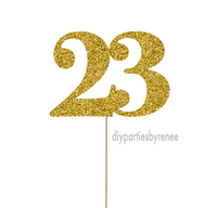 Twenty Three - 23rd Birthday - 23 Digit