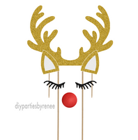 Rudolph Reindeer - Christmas